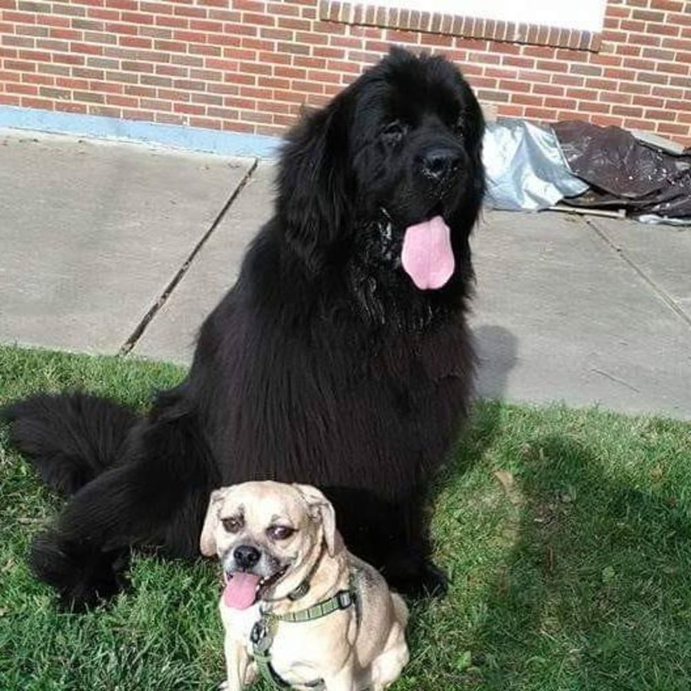 Meet your Posher, Chelsea